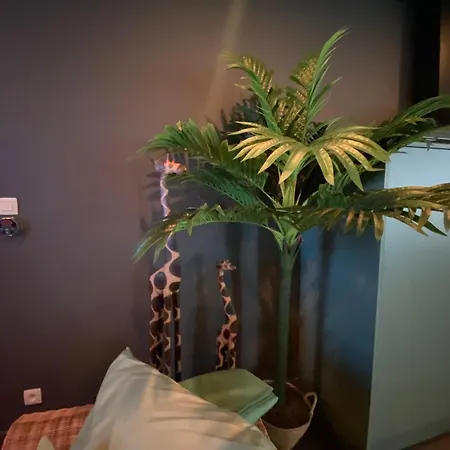 Apartment Your Wellness Break *