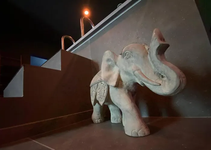 Your Wellness Break *